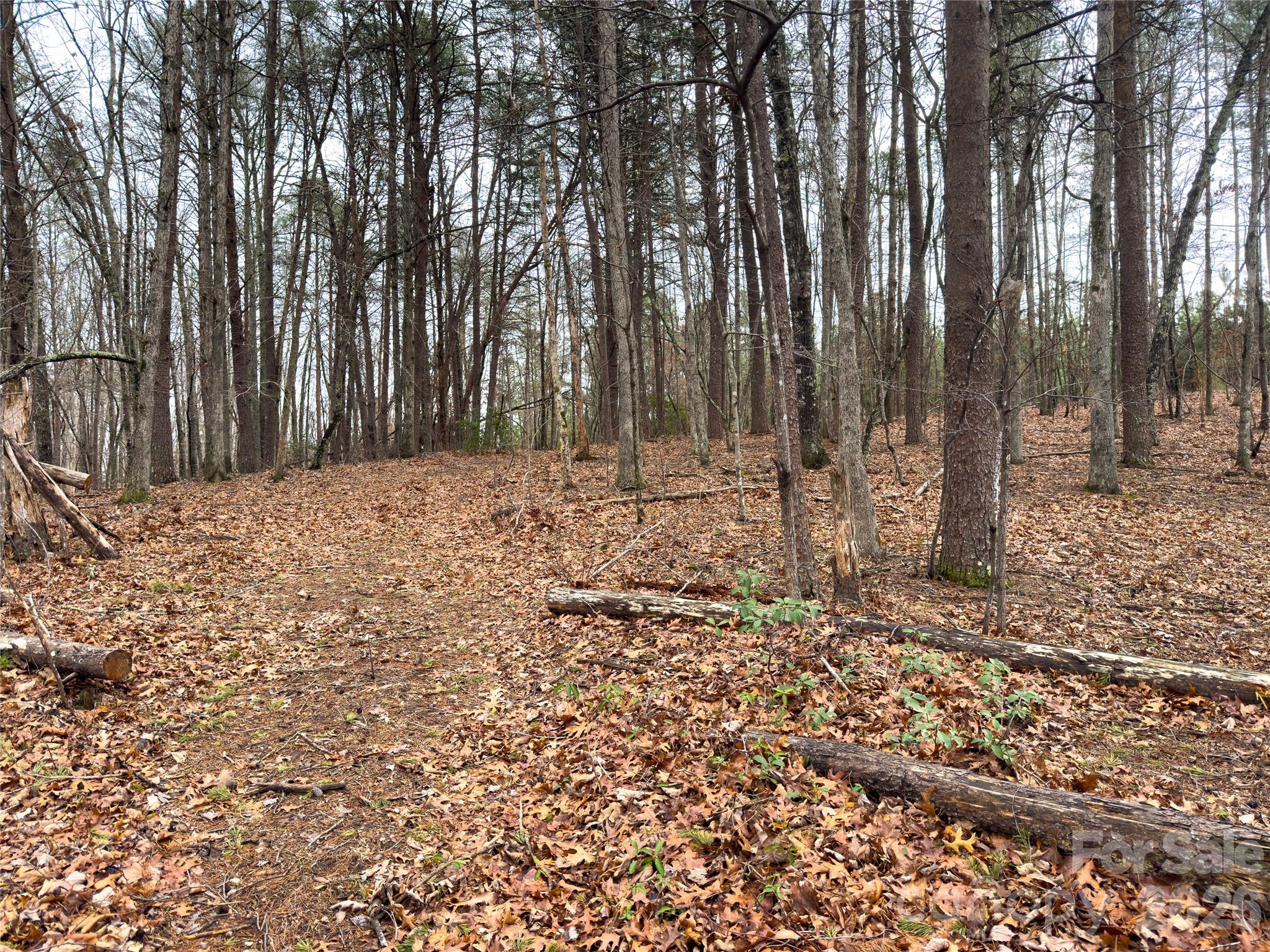 4-7 Carmel Ridge Rutherfordton, NC 28139 - Photo 11 of 19