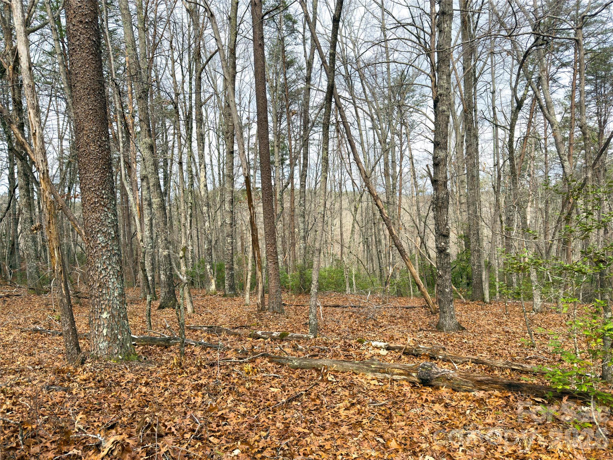 4-7 Carmel Ridge Rutherfordton, NC 28139 - Photo 12 of 19