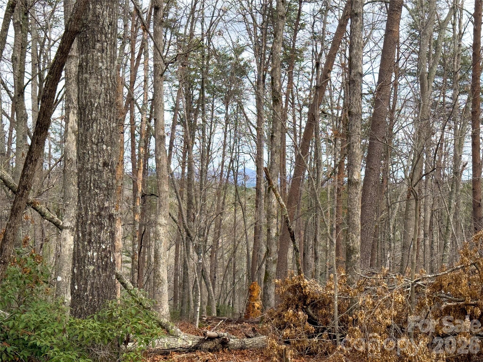 4-7 Carmel Ridge Rutherfordton, NC 28139 - Photo 14 of 19