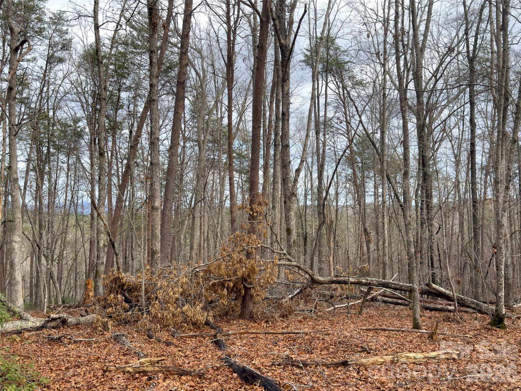 4-7 Carmel Ridge Rutherfordton, NC 28139 - Photo 15 of 19