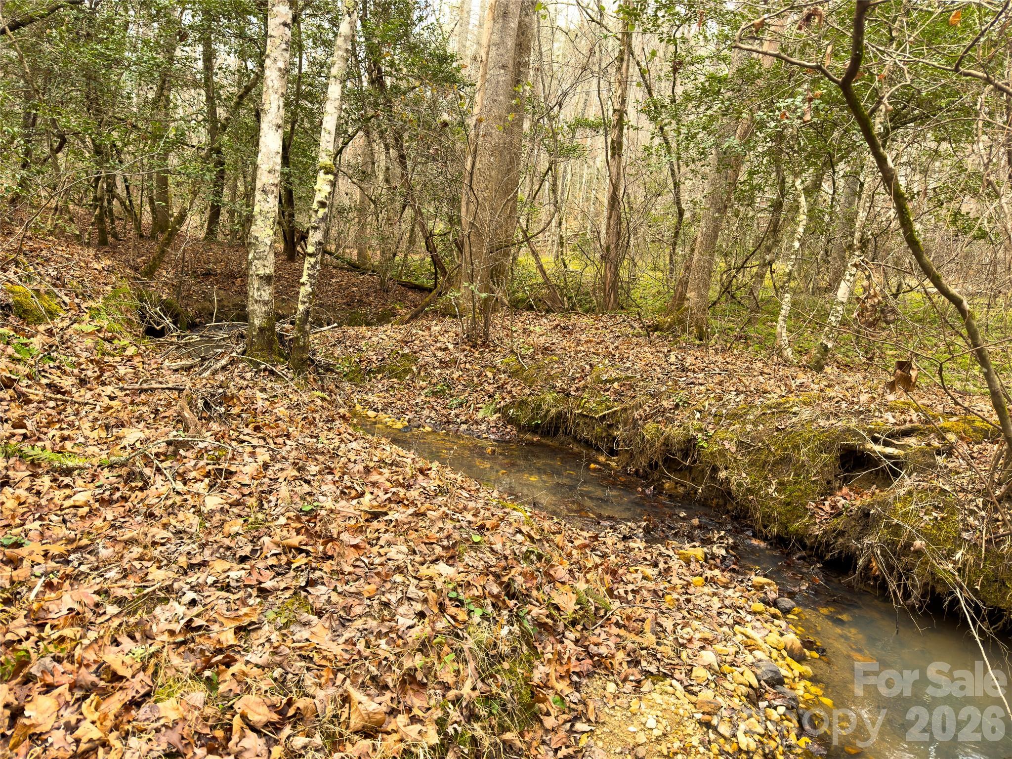 4-7 Carmel Ridge Rutherfordton, NC 28139 - Photo 16 of 19