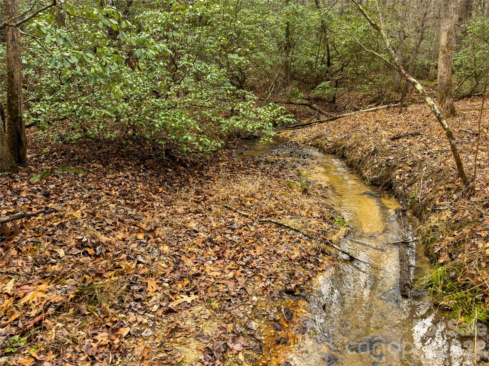 4-7 Carmel Ridge Rutherfordton, NC 28139 - Photo 2 of 19