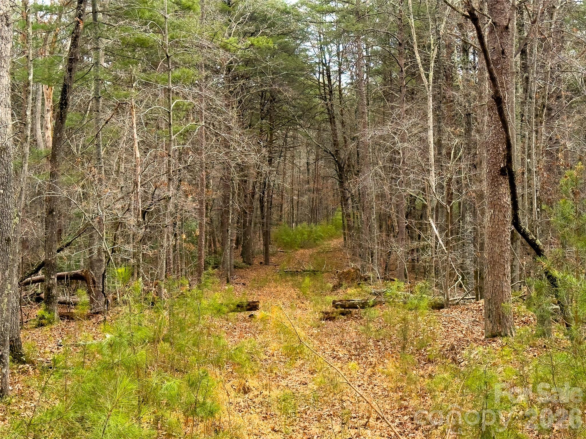 4-7 Carmel Ridge Rutherfordton, NC 28139 - Photo 4 of 19
