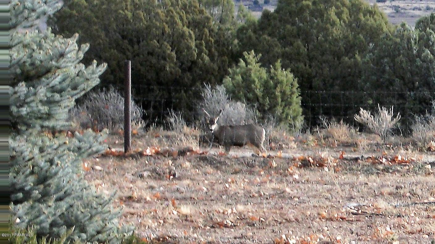 21490 Shotgun Ridge Road Paulden, AZ 86334 - Photo 47 of 51 The neighbors