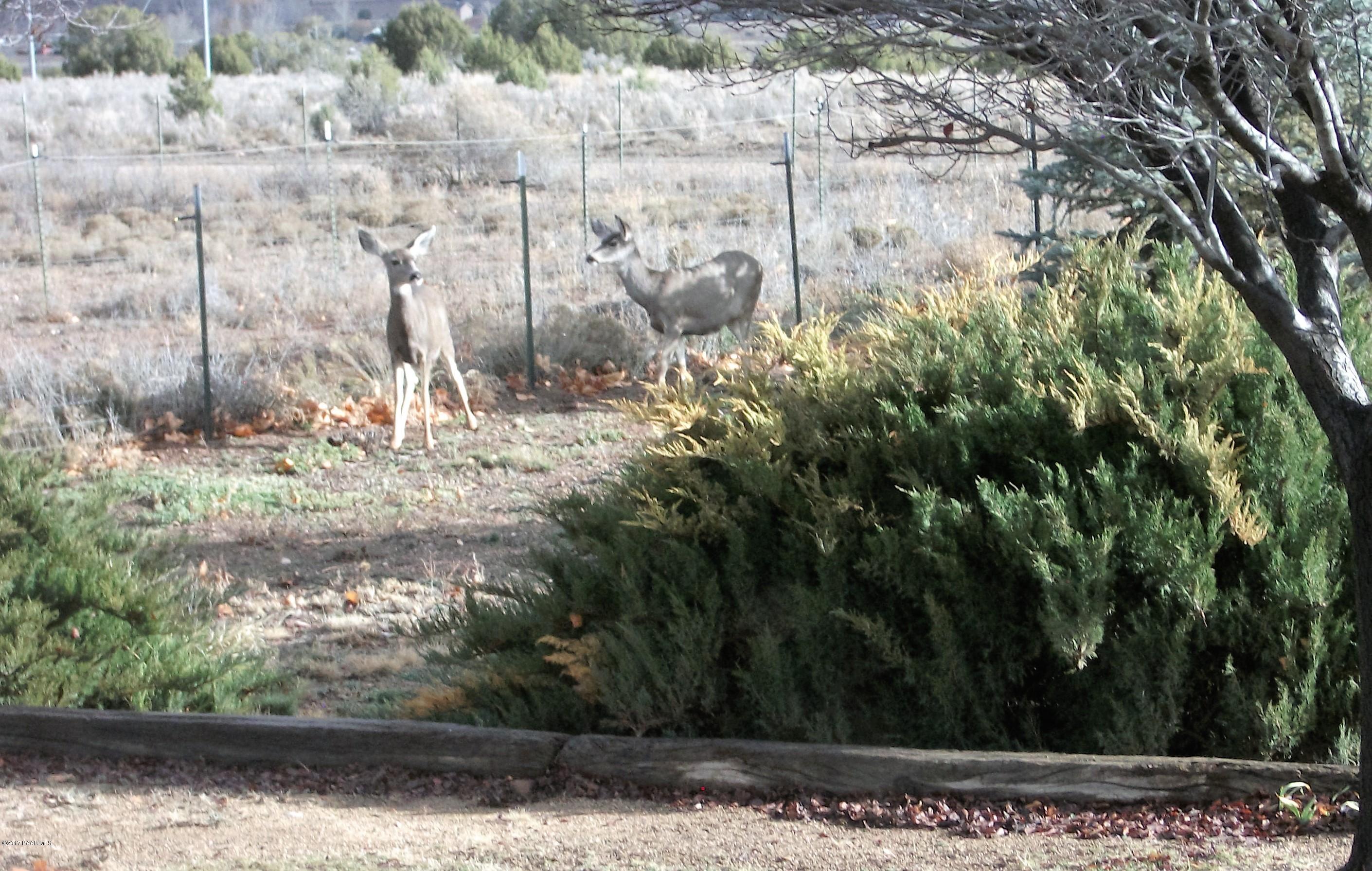 21490 Shotgun Ridge Road Paulden, AZ 86334 - Photo 48 of 51 The friend of friends