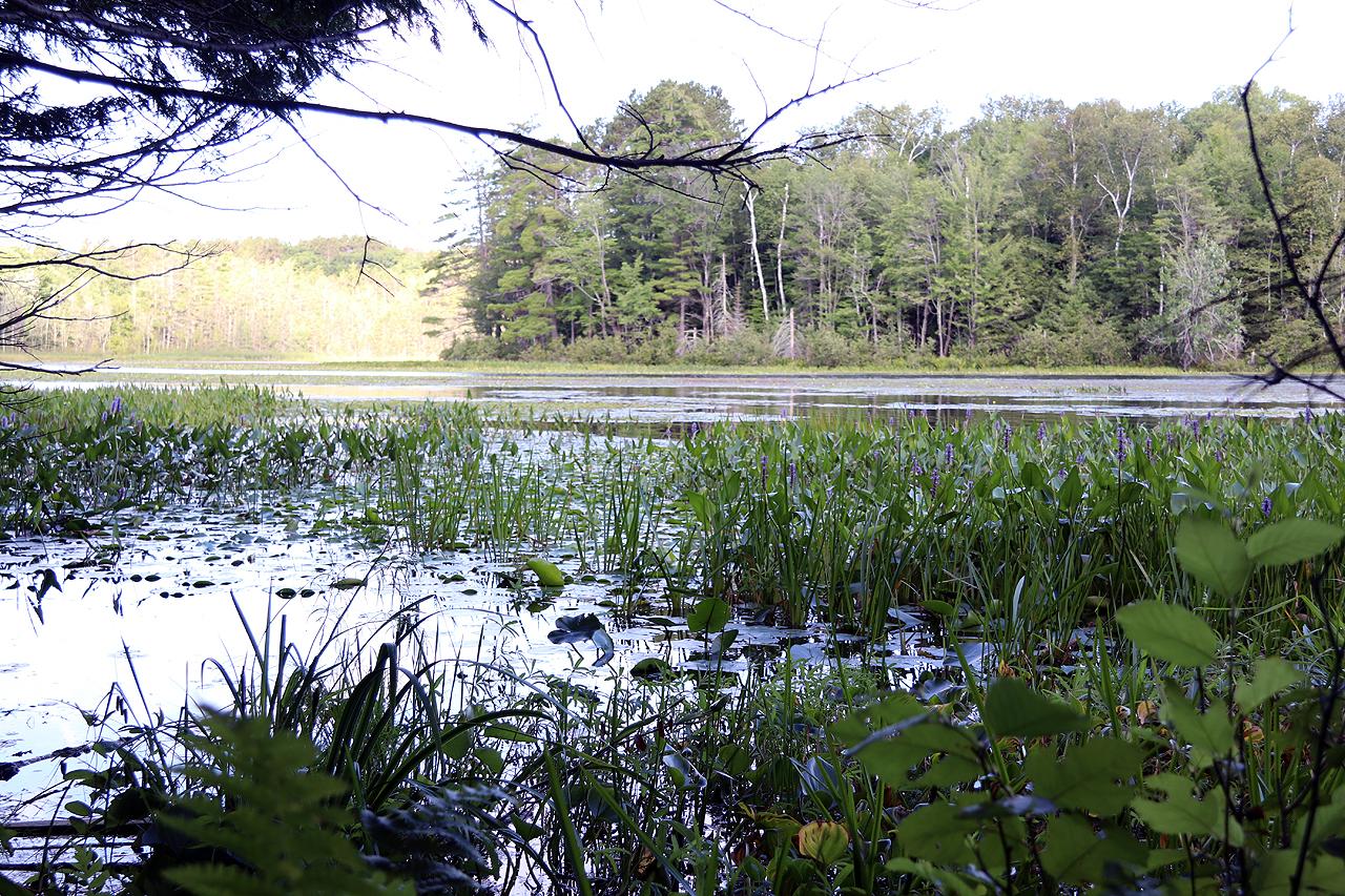 On Lower Kaubashine Road Hazelhurst, WI 54531 - Photo 8 of 15 Gallery Image 8