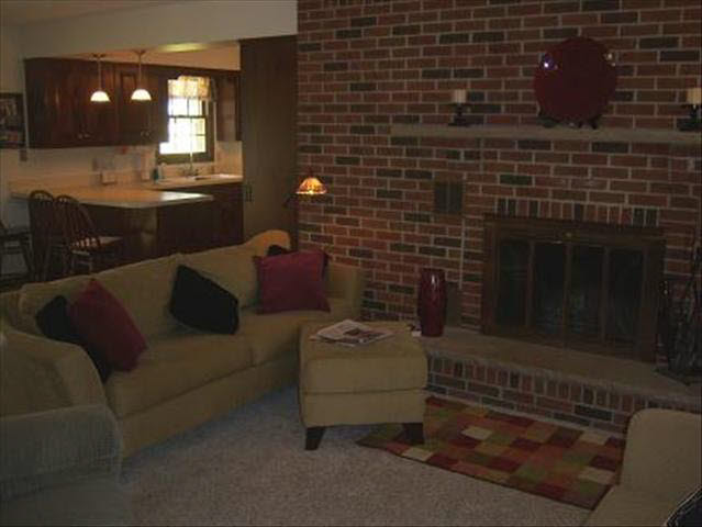 6240 West Albain Road Monroe, MI 48161 - Photo 3 of 20 Fireplace
