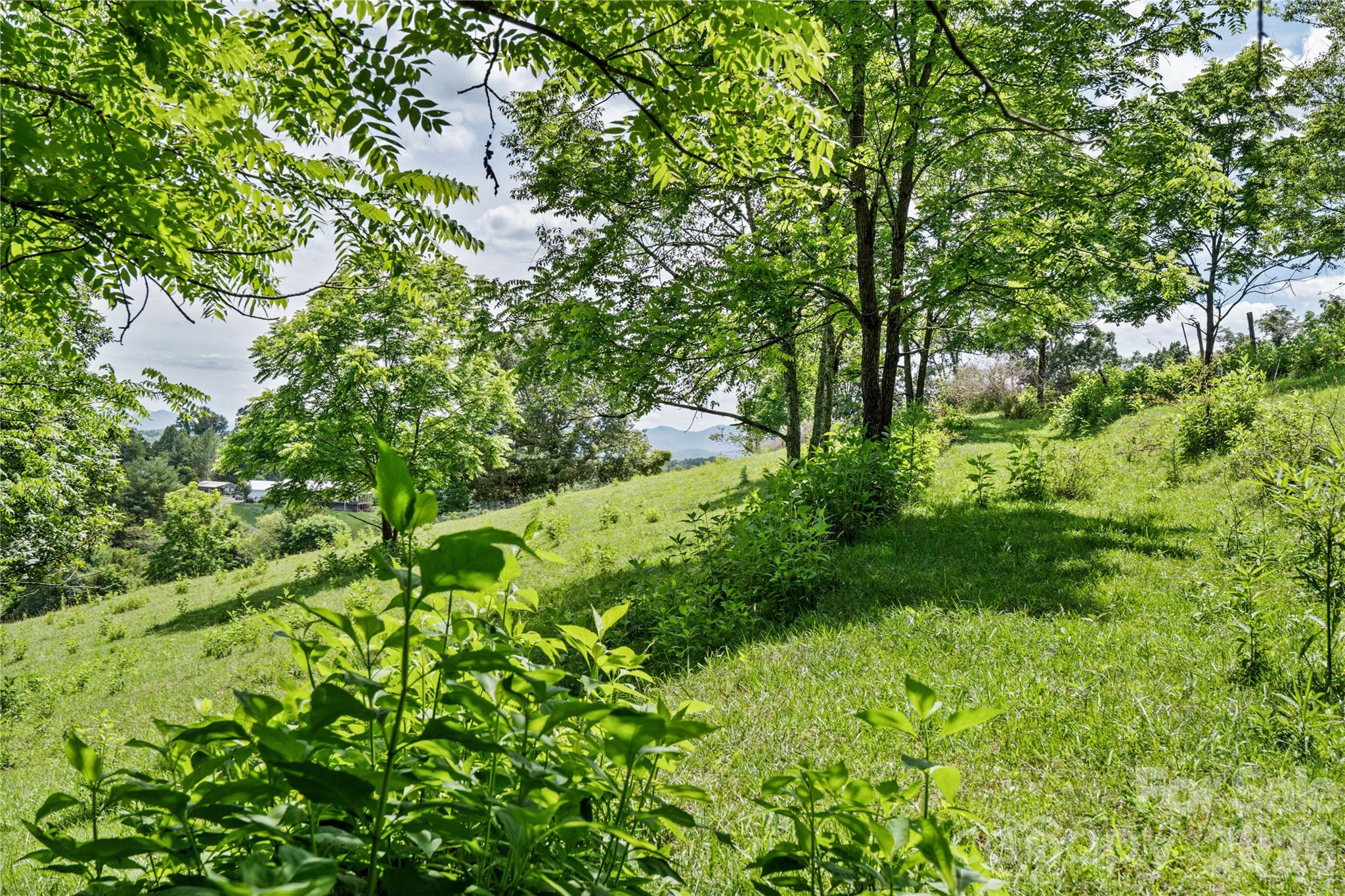 737 Tillery Br Road Marshall, NC 28753 - Photo 20 of 21
