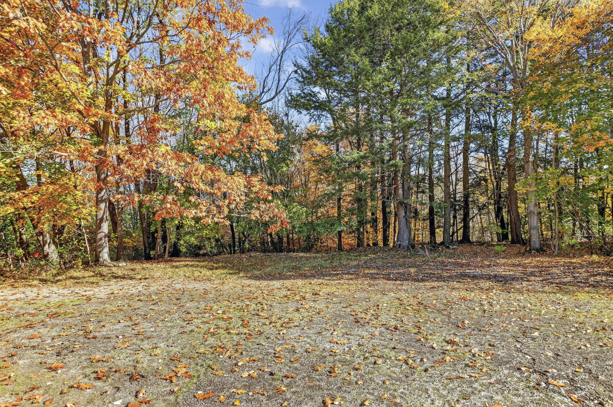 30 Palmer Street Westbrook, ME 04092 - Photo 34 of 34 30 Palmer_04