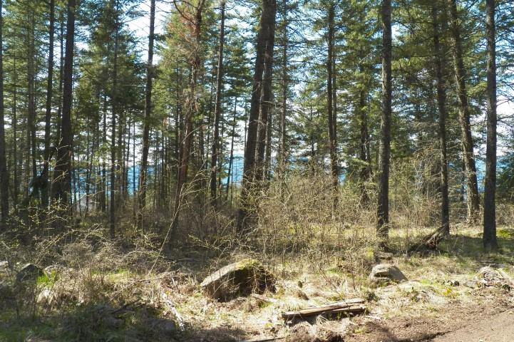 Nine Bonners Ferry Bonners Ferry, ID 83805 - Photo 1 of 1 10 Acres North Of Bonners Ferry