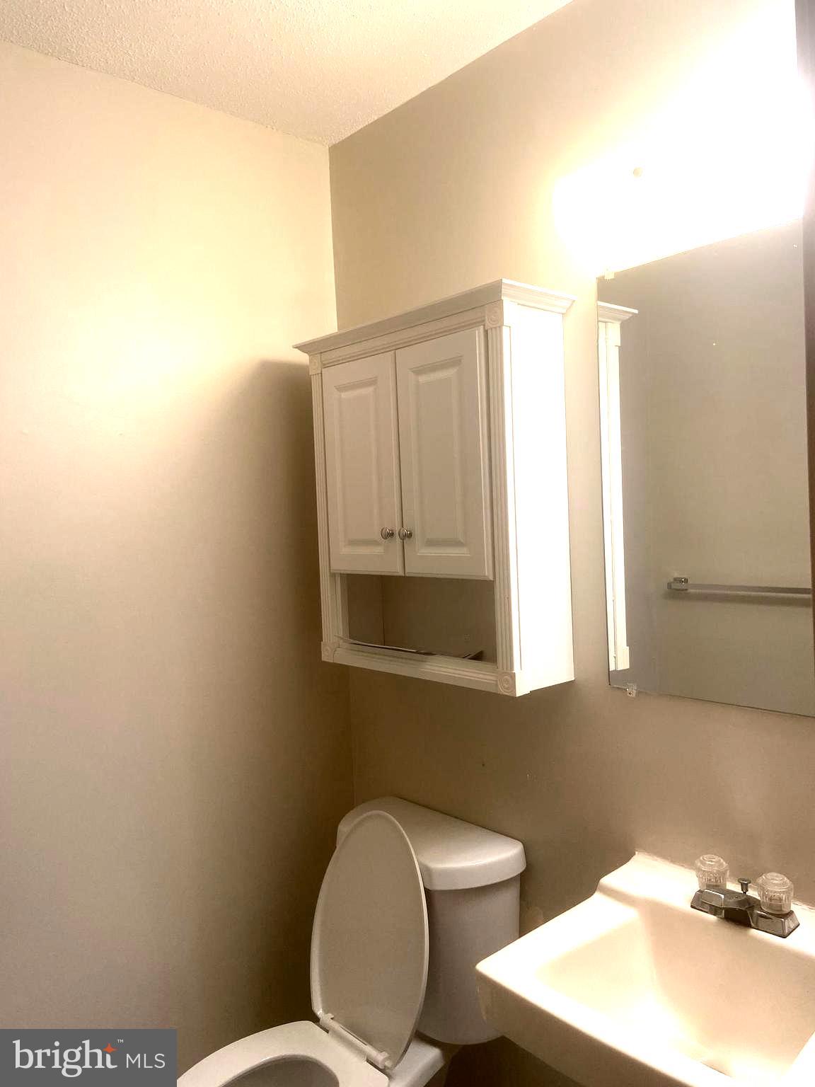 529 King Street Basye, VA 22810 - Photo 17 of 32 a bathroom with a toilet a sink and mirror