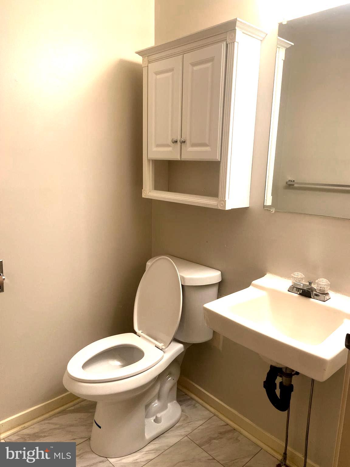 529 King Street Basye, VA 22810 - Photo 18 of 32 a bathroom with a sink a toilet and mirror