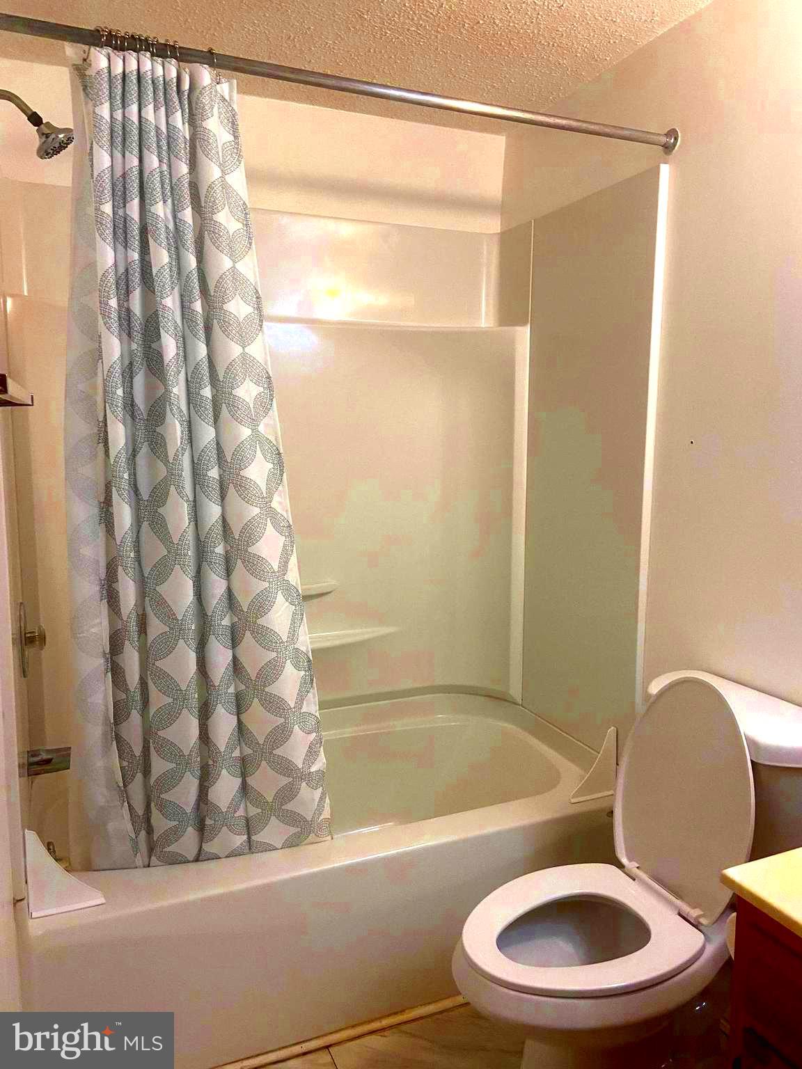529 King Street Basye, VA 22810 - Photo 19 of 32 a bathroom with a toilet and a shower