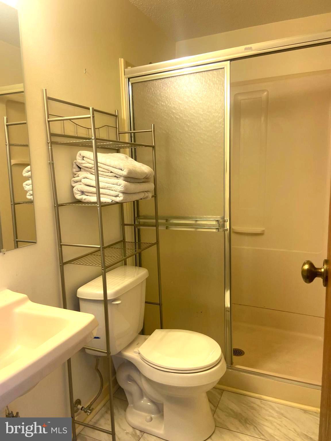 529 King Street Basye, VA 22810 - Photo 20 of 32 a bathroom with a toilet and a shower