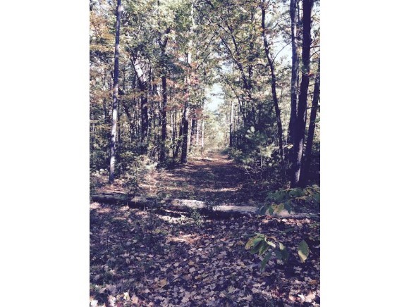 17 River Road Bow, NH 03304 - Photo 1 of 1