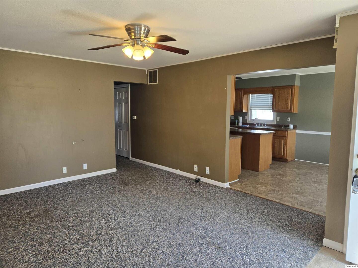 317 Mechanic Street Mount Sterling, IL 62353 - Photo 3 of 12