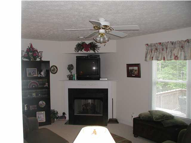 6 Rowell Road Palmyra, VA 22963 - Photo 2 of 5 a living room with furniture and a fireplace