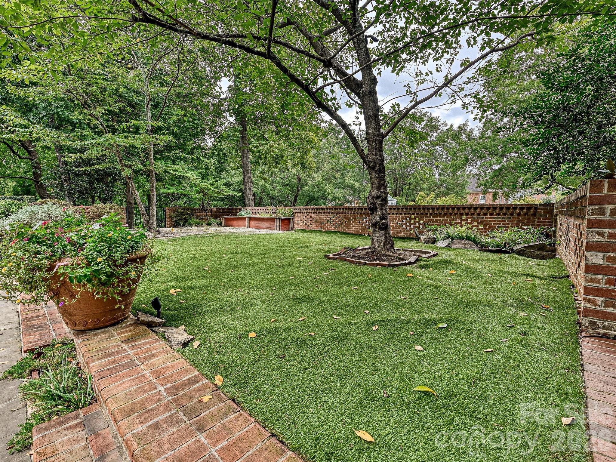 2132 Rolston Drive Charlotte, NC 28207 - Photo 31 of 41 a view of a garden with a tree