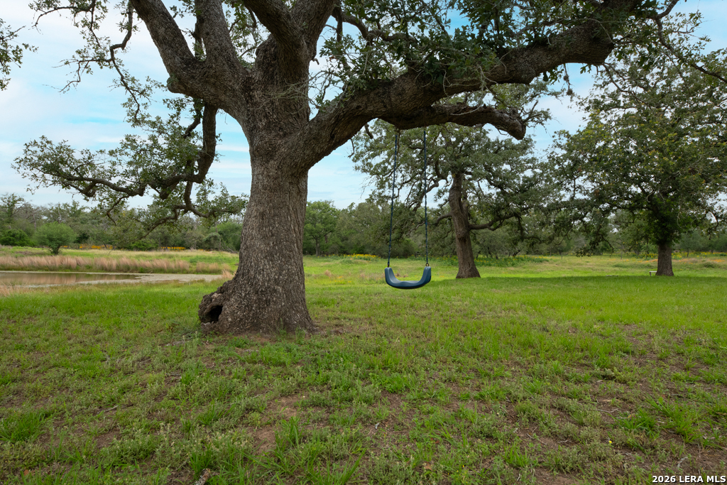 104 Longhorn Road Stockdale, TX 78160 - Photo 15 of 47 a view of a garden with a tree