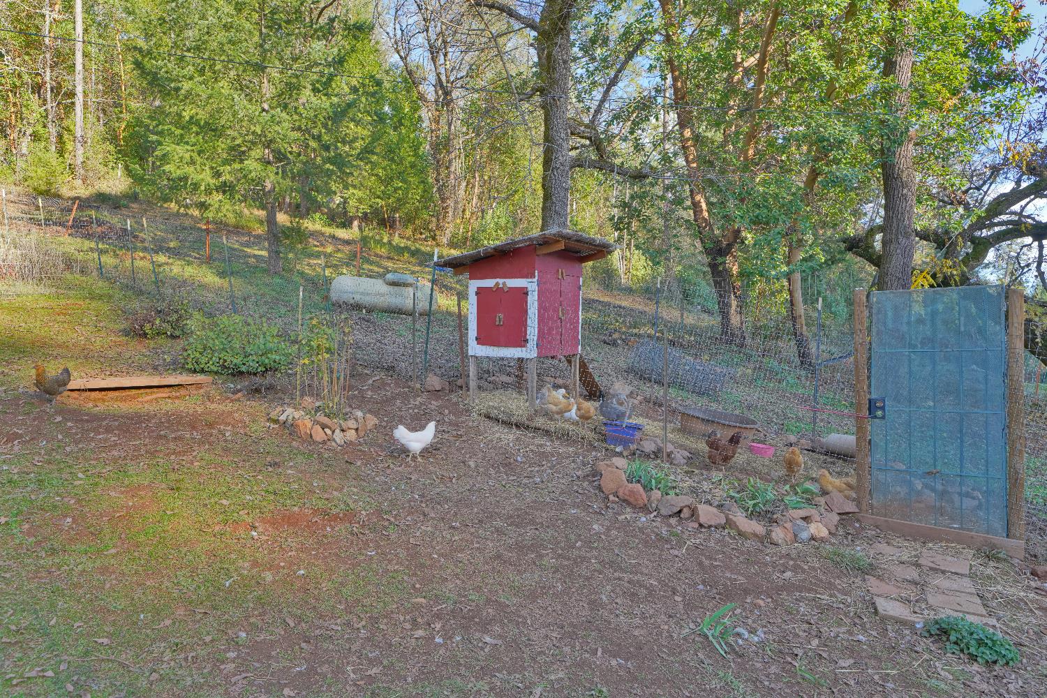 5921 Bear Creek Road Garden Valley, CA 95633 - Photo 41 of 55 a fire hydrant in the middle of a field