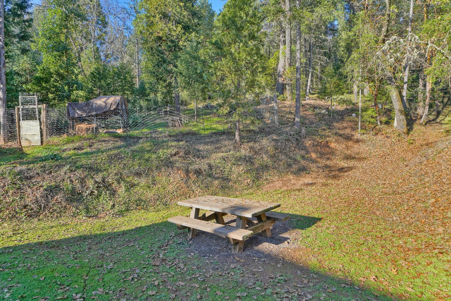 5921 Bear Creek Road Garden Valley, CA 95633 - Photo 47 of 55 a view of a backyard with chairs and table