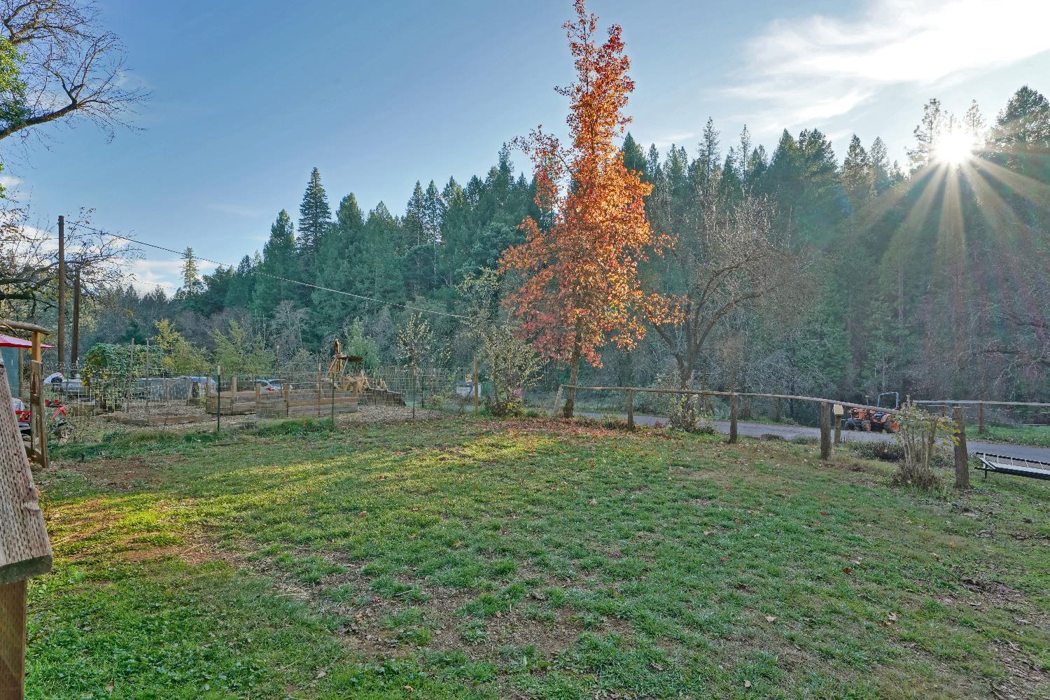 5921 Bear Creek Road Garden Valley, CA 95633 - Photo 6 of 55 a view of a park with large trees