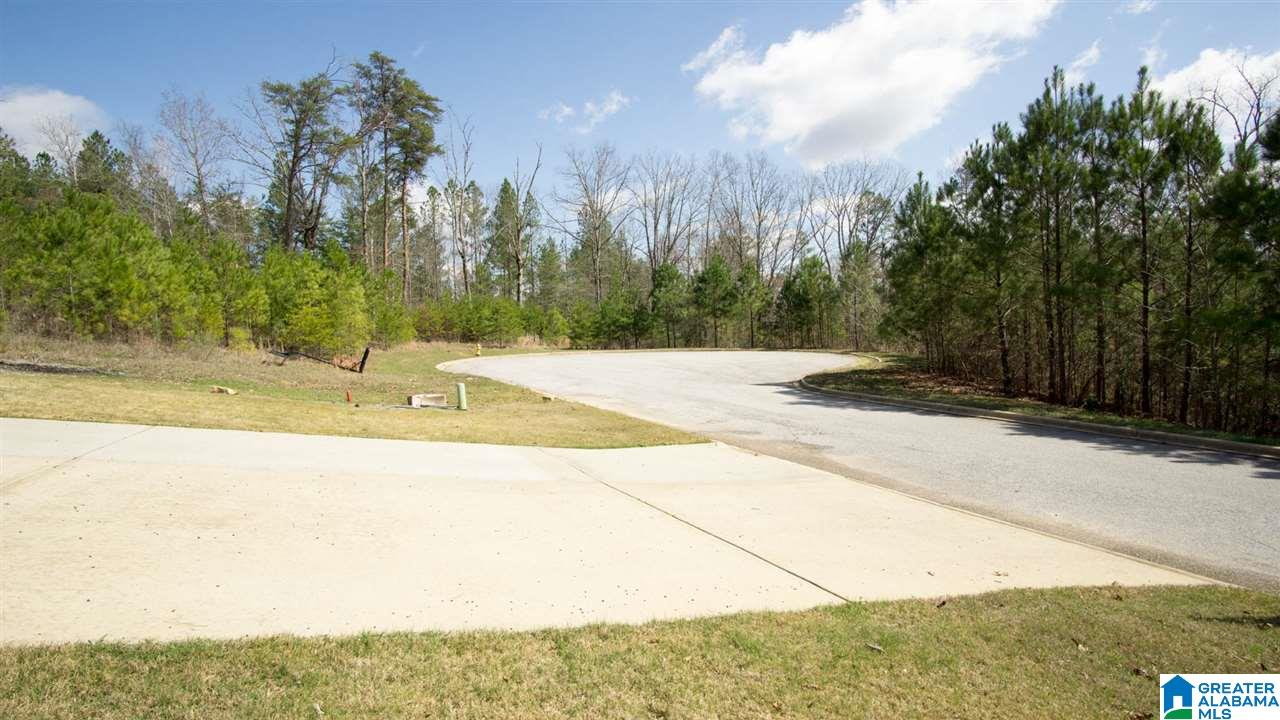 519 Cross Rdg Lane Odenville, AL 35120 - Photo 32 of 34