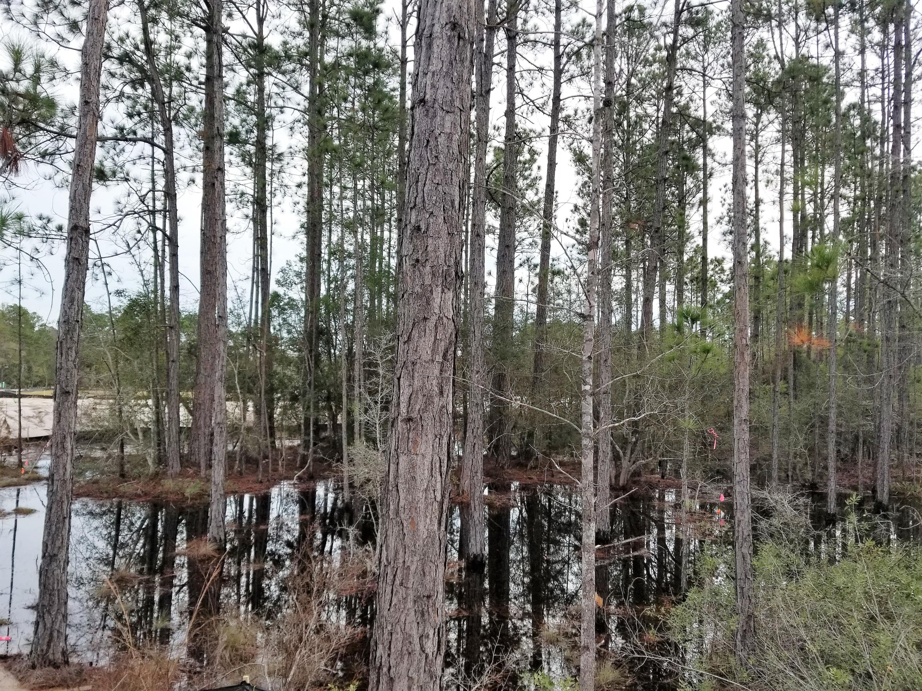 138 Bryant Road Santa Rosa Beach, FL 32459 - Photo 5 of 38