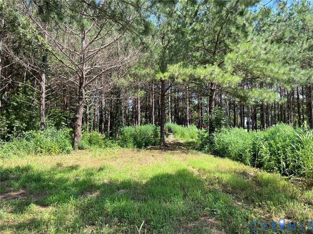 1 Deer Run Road Blackstone, VA 23824 - Photo 14 of 17 Expansive wooded lot featuring mature trees and a