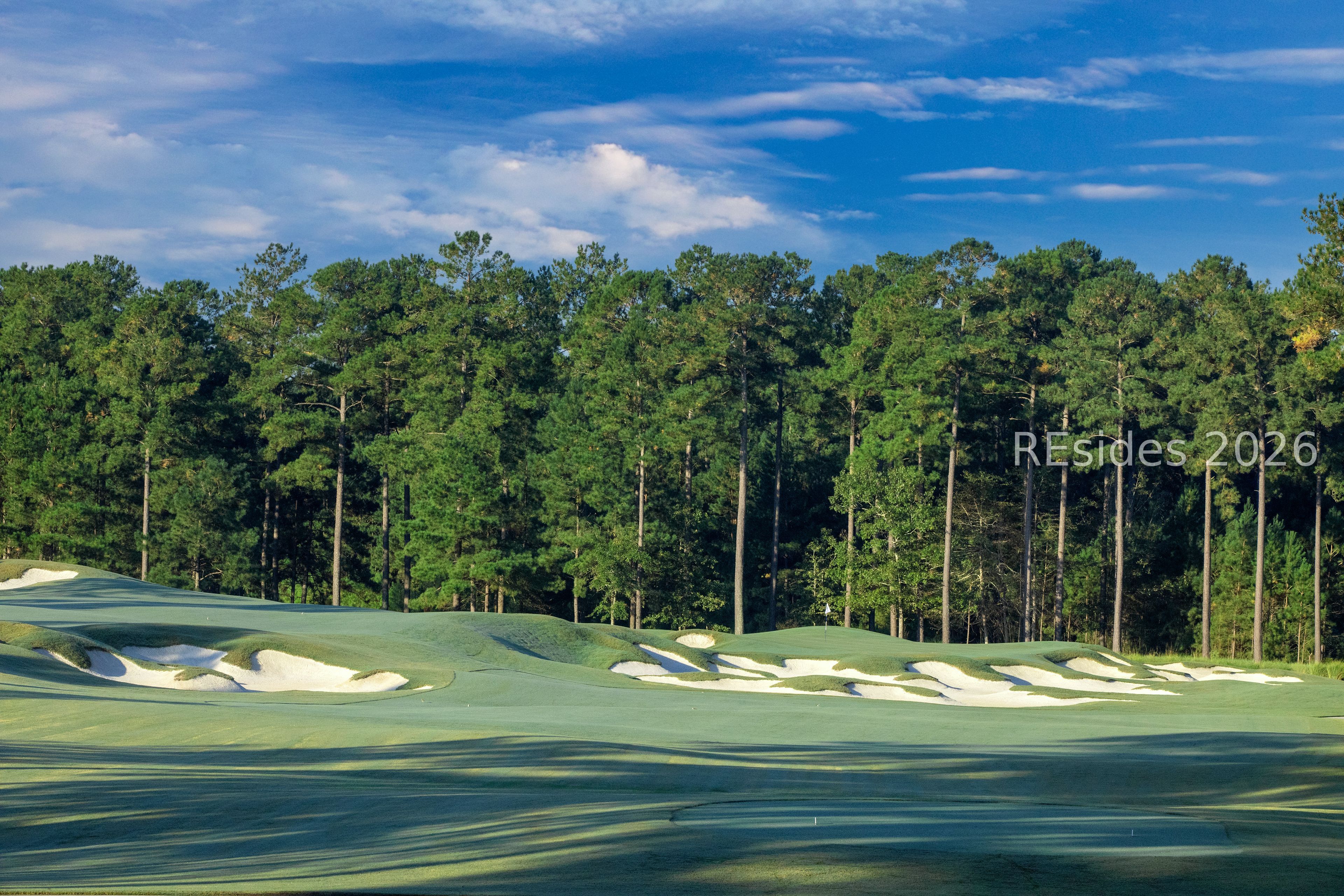 4925 Azalea Drive Hardeeville, SC 29927 - Photo 20 of 24 Golf