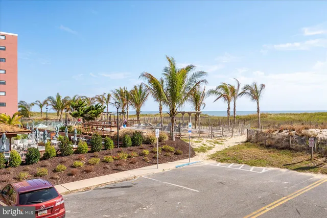 a view of a city with palm trees