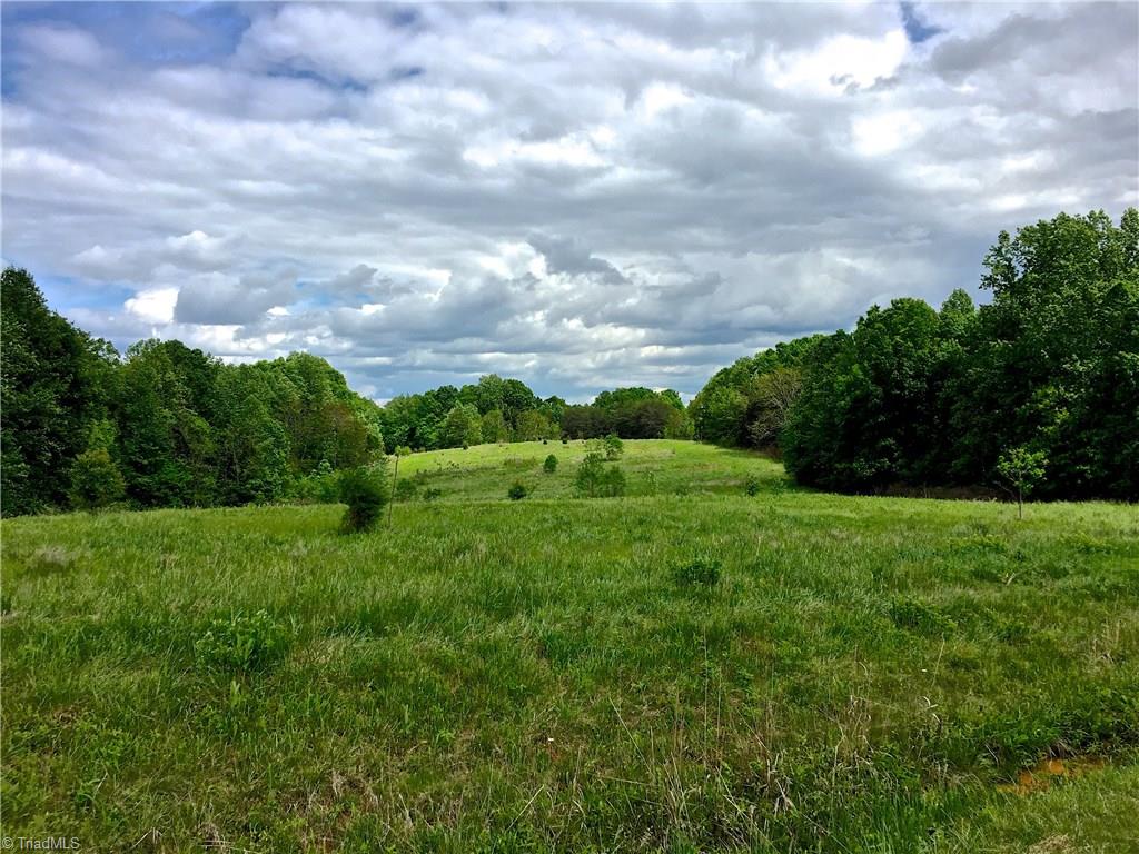1538 Kimbro Road Reidsville, NC 27320 - Photo 2 of 6 View from the front of the property looking back.