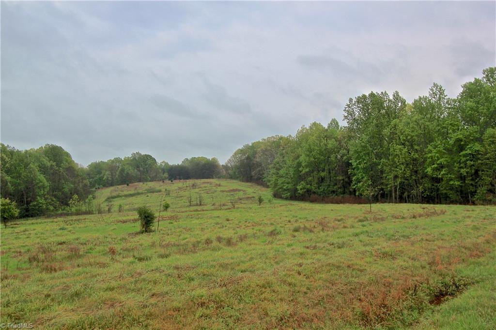 1538 Kimbro Road Reidsville, NC 27320 - Photo 4 of 6 Gallery Image 4