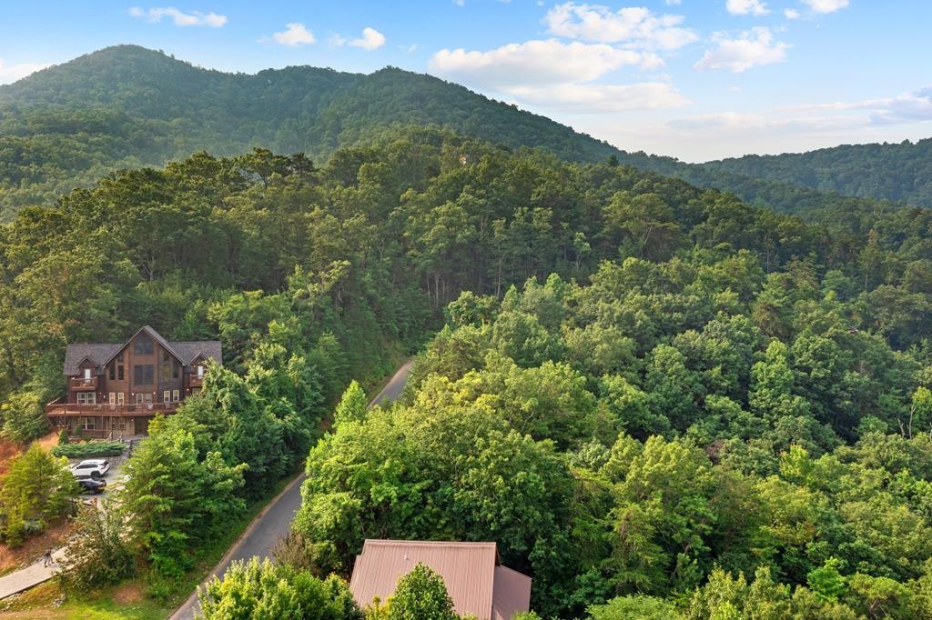 3256 Grouse Ridge Lane Sevierville, TN 37862 - Photo 62 of 63 Gallery Image 62
