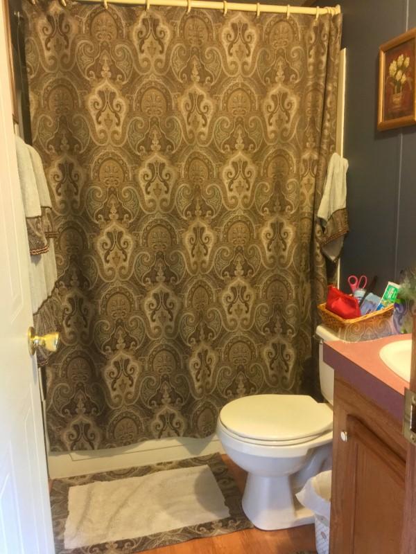 213 Midkiff Road Southeast Floyd, VA 24091 - Photo 16 of 20 a bathroom with a toilet and a shower curtain