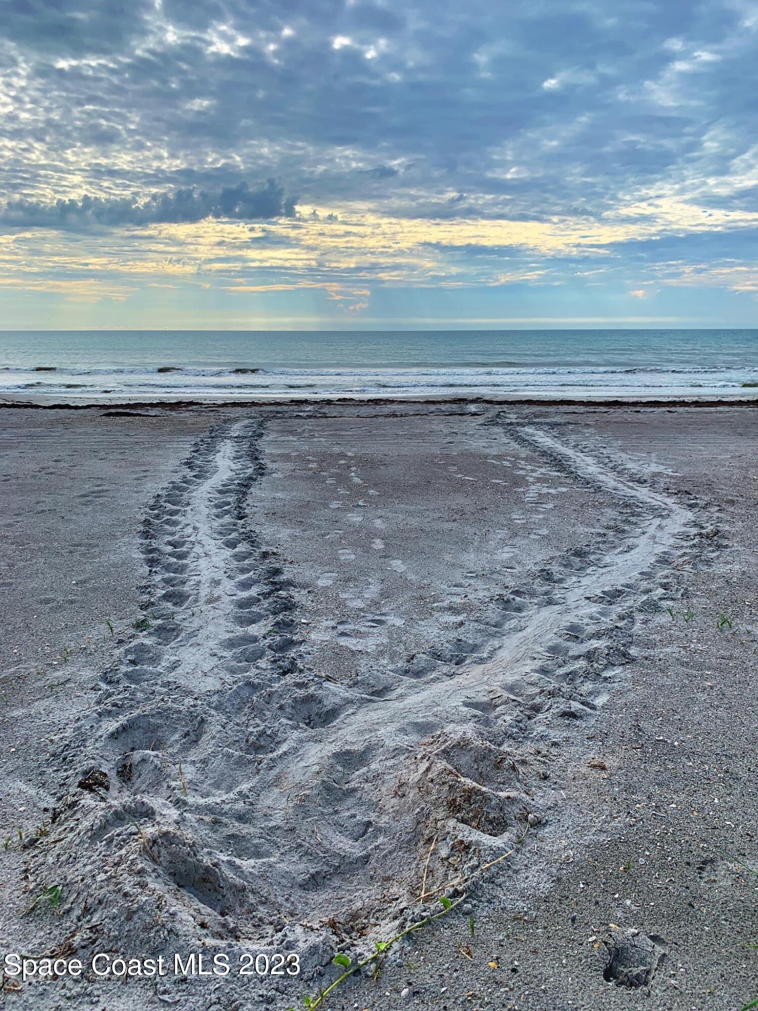 2375 South Atlantic Avenue, Unit 302 Cocoa Beach, FL 32931 - Photo 35 of 36 IMG_5266