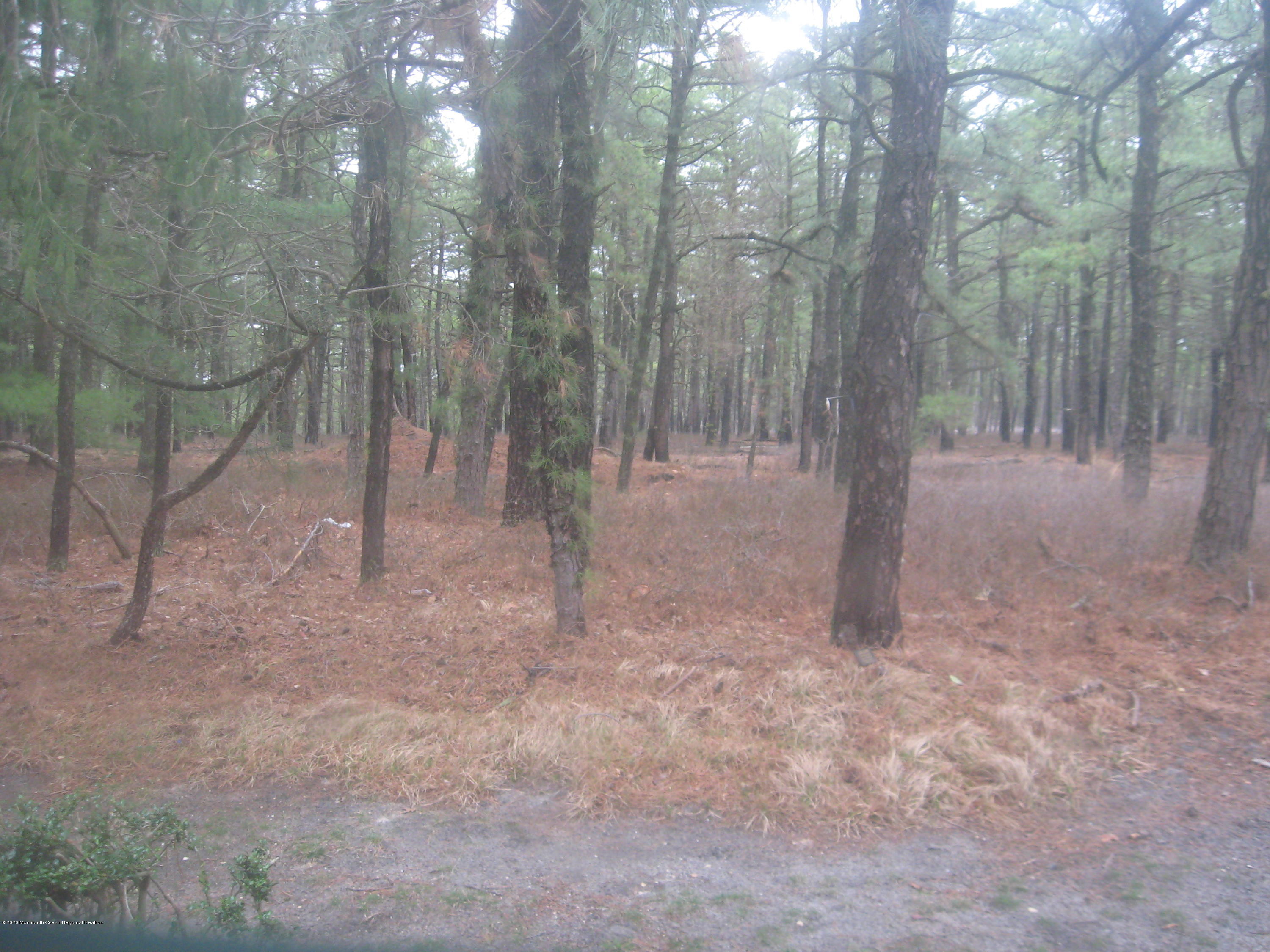 105 Sunset Road Whiting, NJ 08759 - Photo 25 of 30 SUNSET