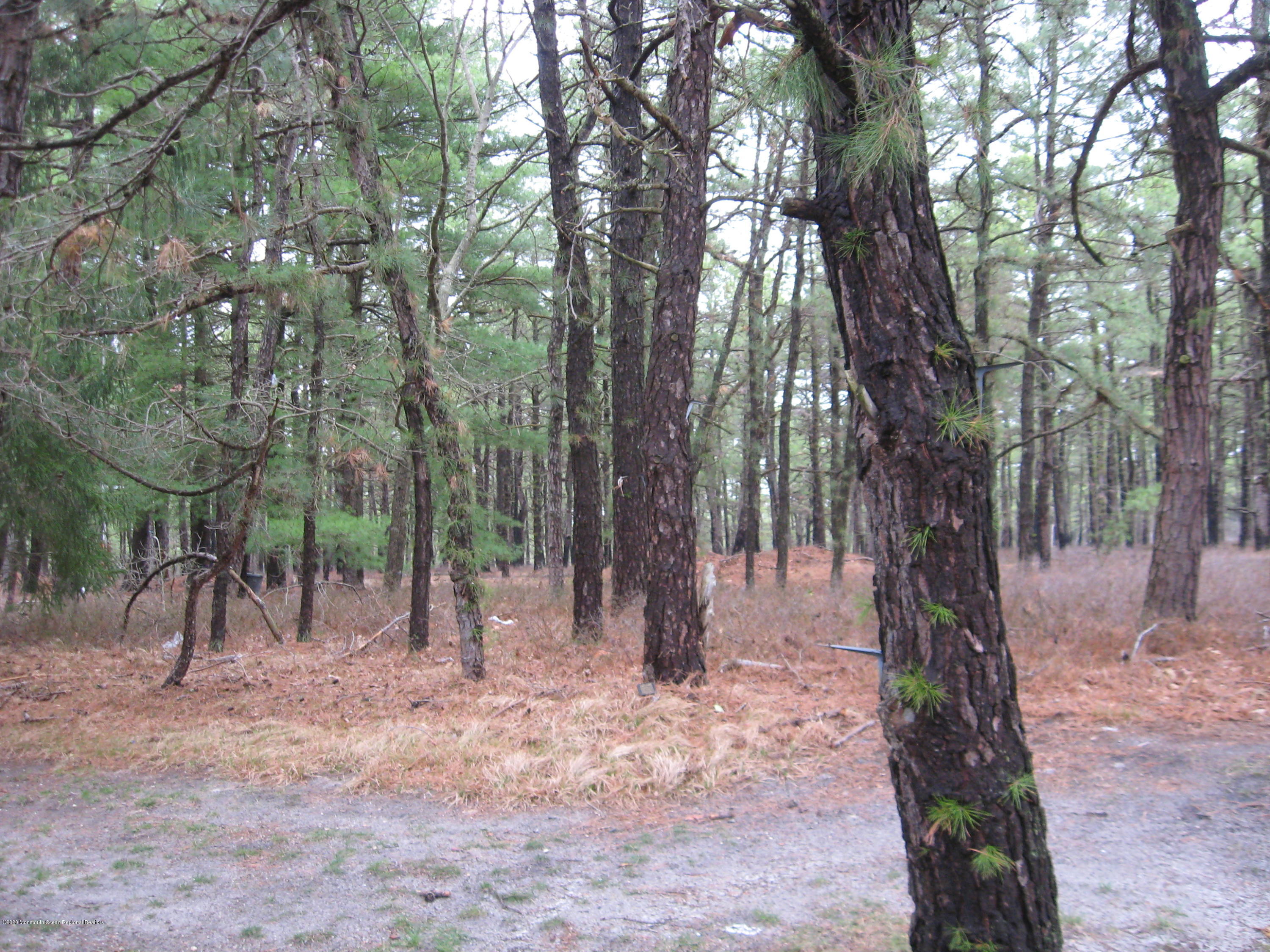 105 Sunset Road Whiting, NJ 08759 - Photo 27 of 30 SUNSET