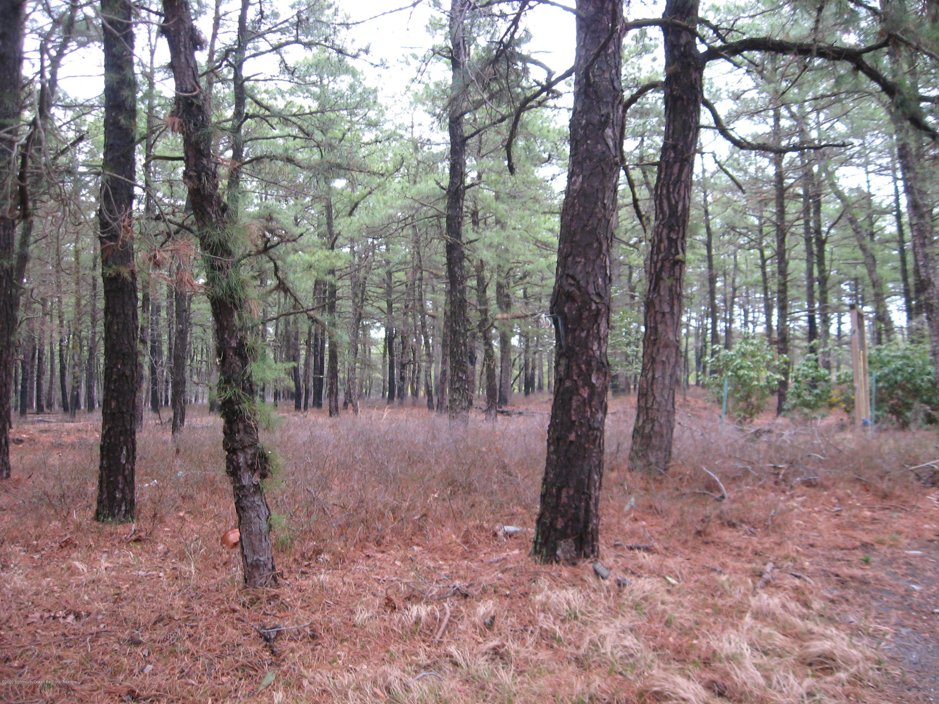 105 Sunset Road Whiting, NJ 08759 - Photo 28 of 30 SUNSET