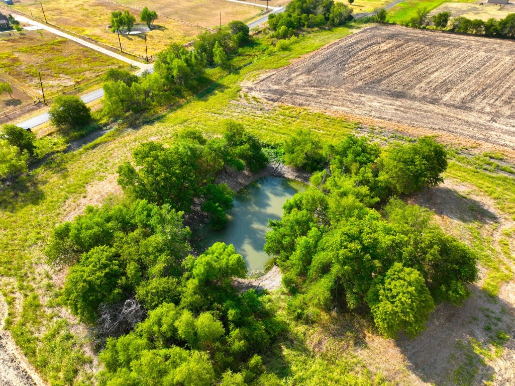 95 Temple Tx 76502 Temple, TX 76502 - Photo 7 of 8 a view of a yard with plants and large trees