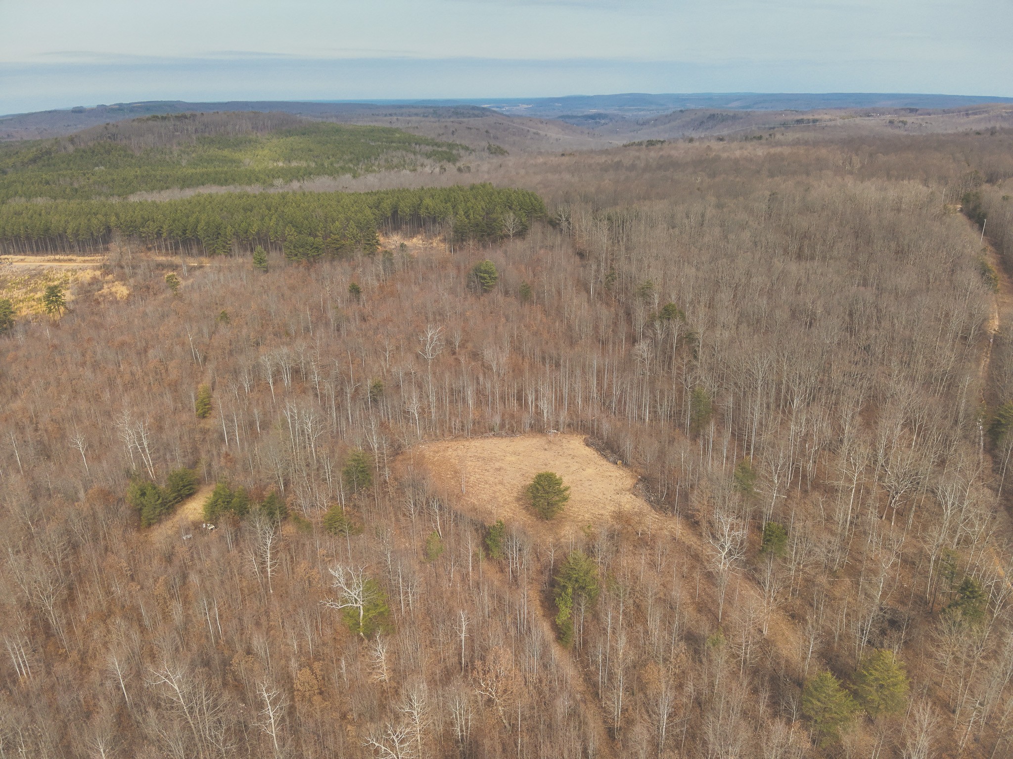 1555 Palmer Firetower Road Whitwell, TN 37397 - Photo 20 of 66