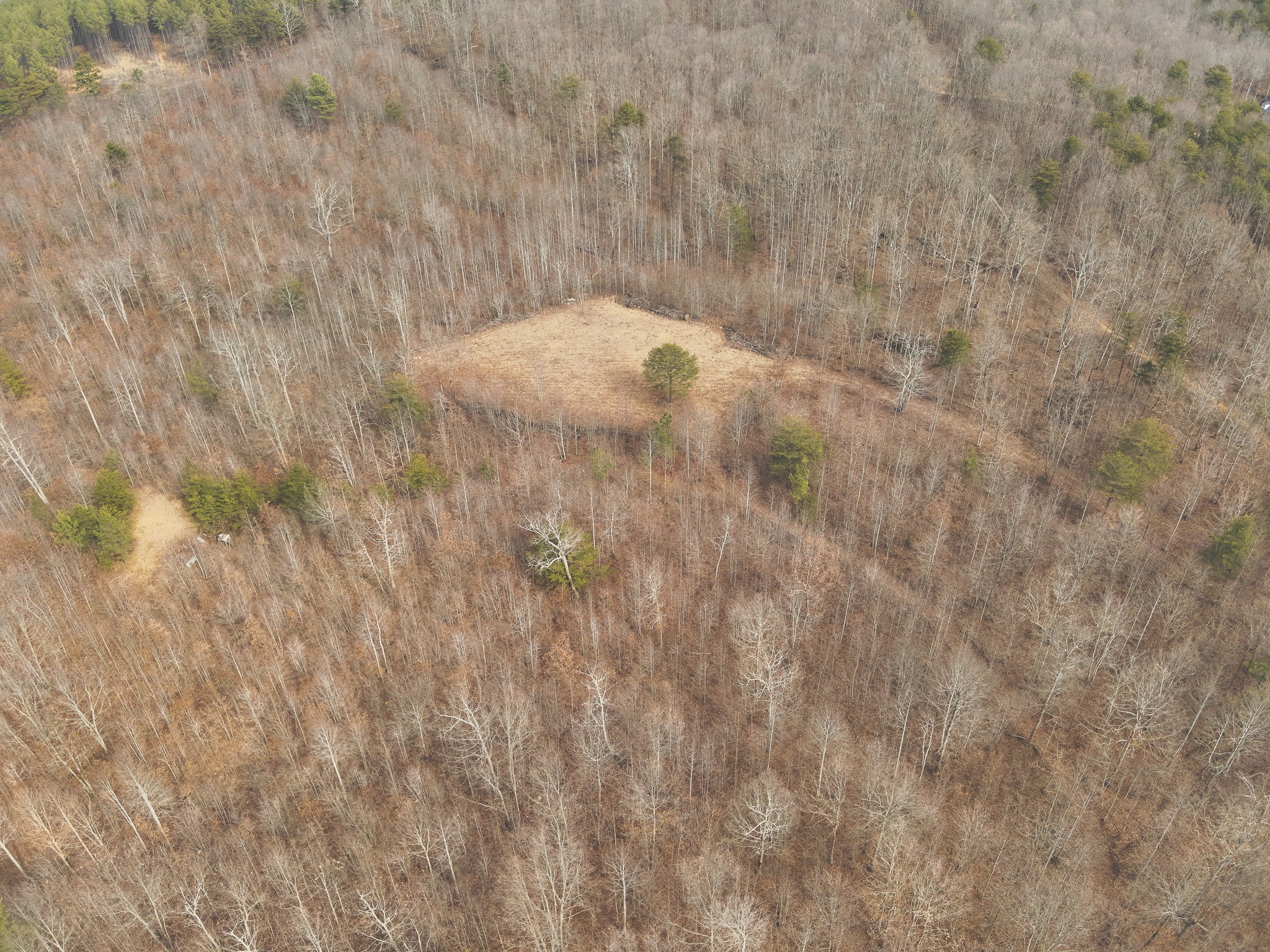 1555 Palmer Firetower Road Whitwell, TN 37397 - Photo 21 of 66