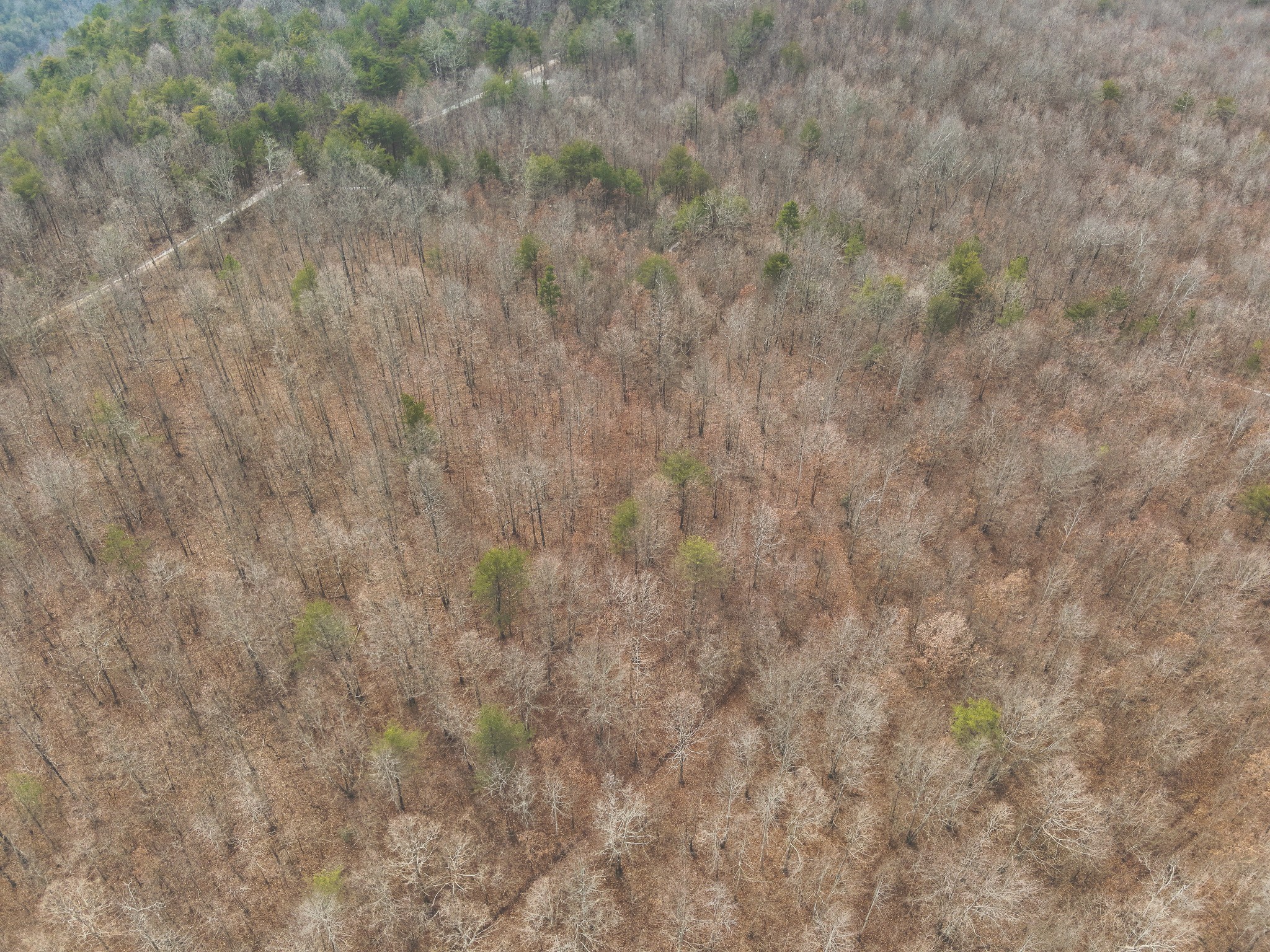 1555 Palmer Firetower Road Whitwell, TN 37397 - Photo 22 of 66