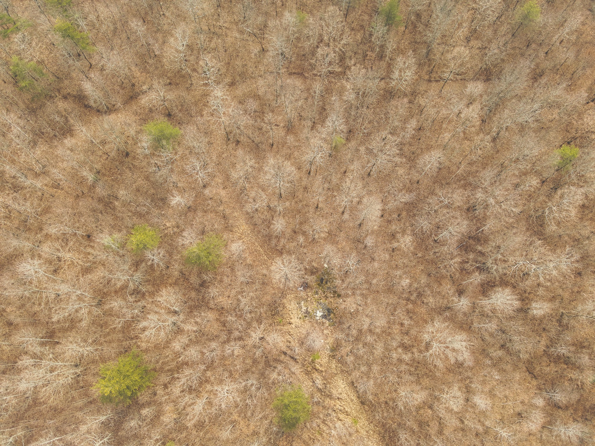 1555 Palmer Firetower Road Whitwell, TN 37397 - Photo 23 of 66