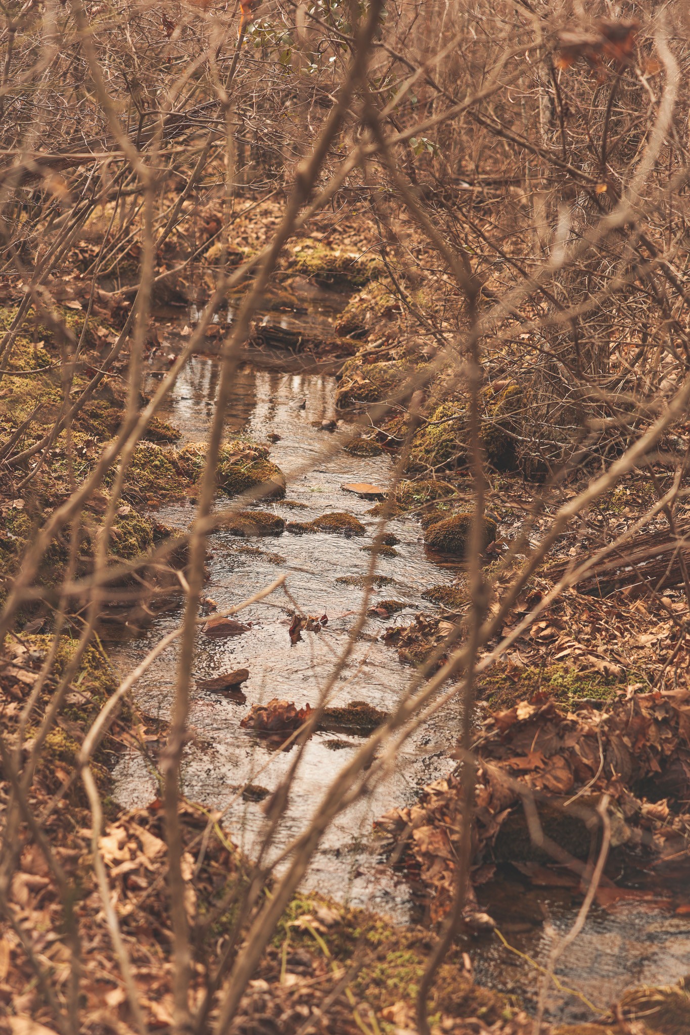 1555 Palmer Firetower Road Whitwell, TN 37397 - Photo 29 of 66