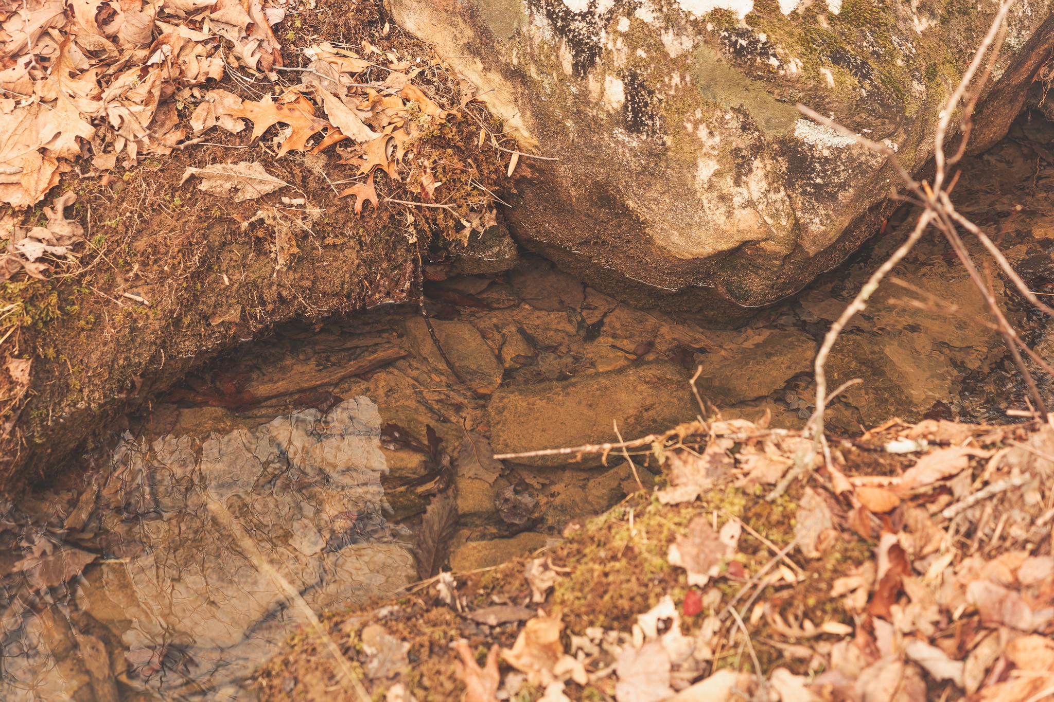 1555 Palmer Firetower Road Whitwell, TN 37397 - Photo 34 of 66