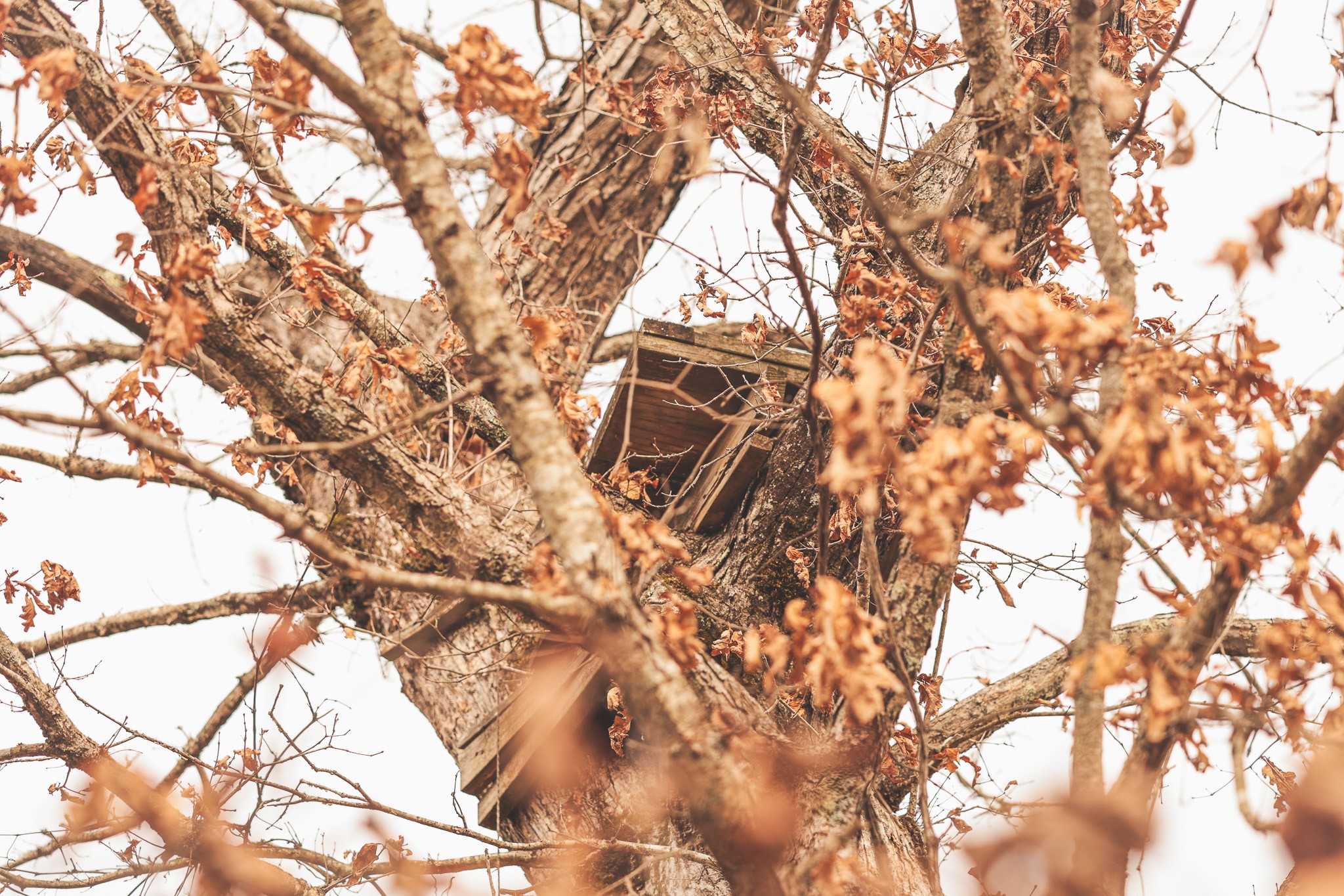 1555 Palmer Firetower Road Whitwell, TN 37397 - Photo 37 of 66