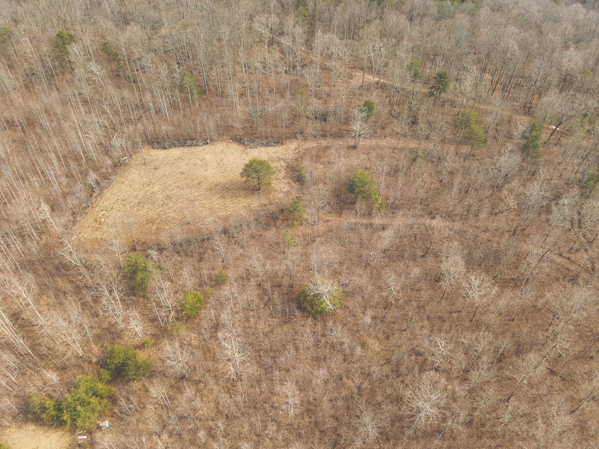 1555 Palmer Firetower Road Whitwell, TN 37397 - Photo 4 of 66