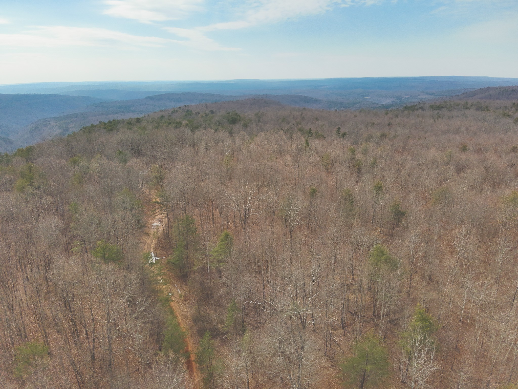 1555 Palmer Firetower Road Whitwell, TN 37397 - Photo 5 of 66