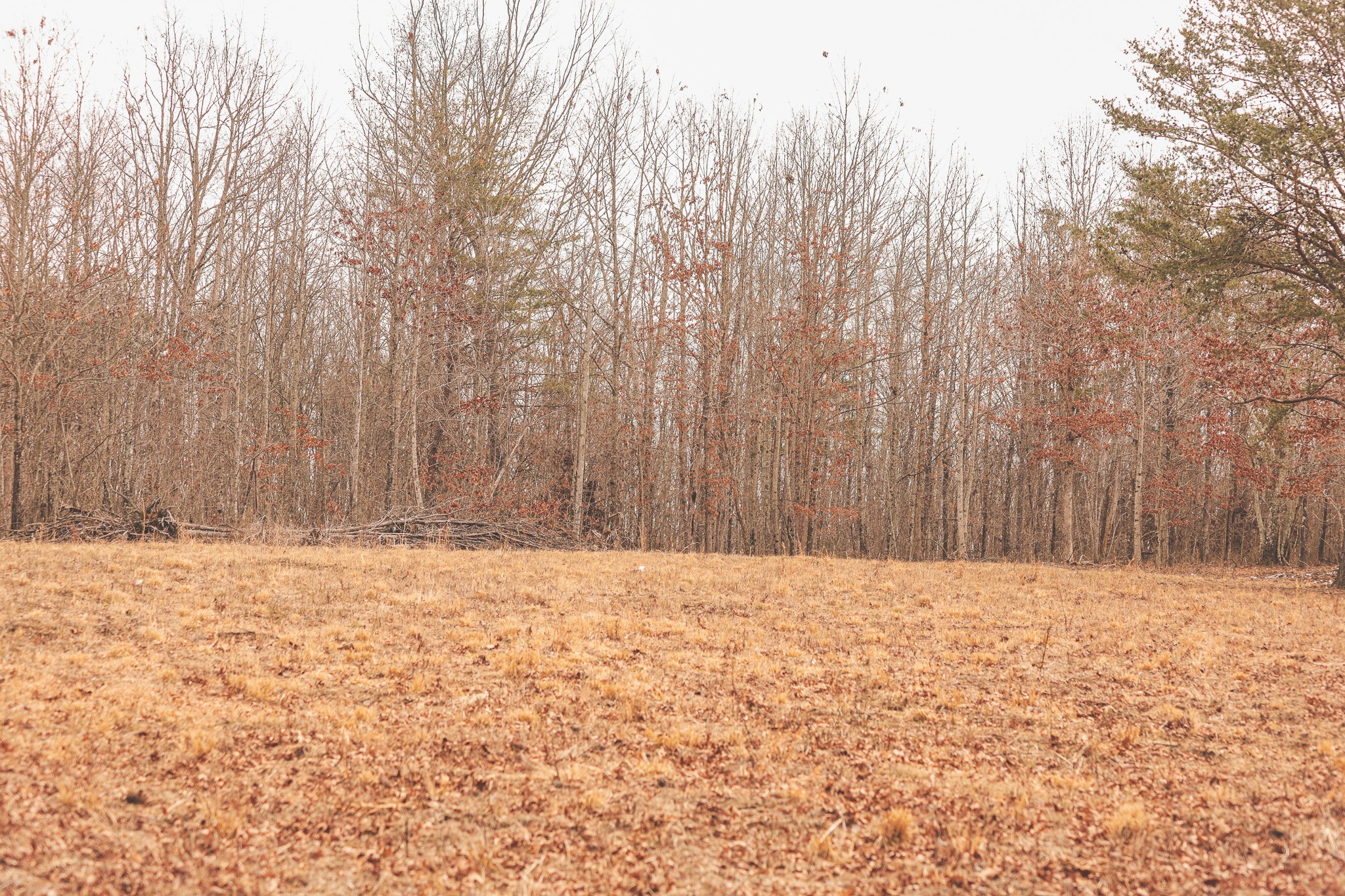 1555 Palmer Firetower Road Whitwell, TN 37397 - Photo 57 of 66